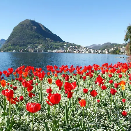 Charm Aldesago * Lugano
